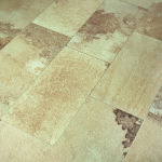 Gazzini_Fossil_Living_Part_028_v3